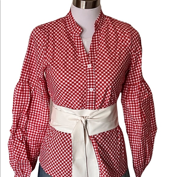 Passion of Essence Tops - 🔵 #25 Camila Red Gingham Checker Bishop Balloon Sleeve Button Down Top